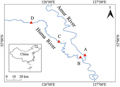 Identification of the regulatory roles of water qualities on the spatio-temporal dynamics of microbiota communities in the water and fish guts in the Heilongjiang River